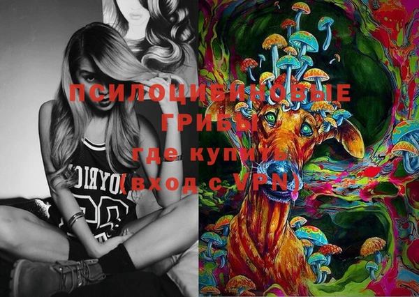 твердый Гусиноозёрск
