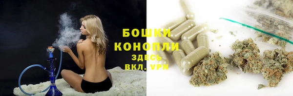твердый Гусиноозёрск
