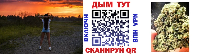 Канабис сатива Оханск